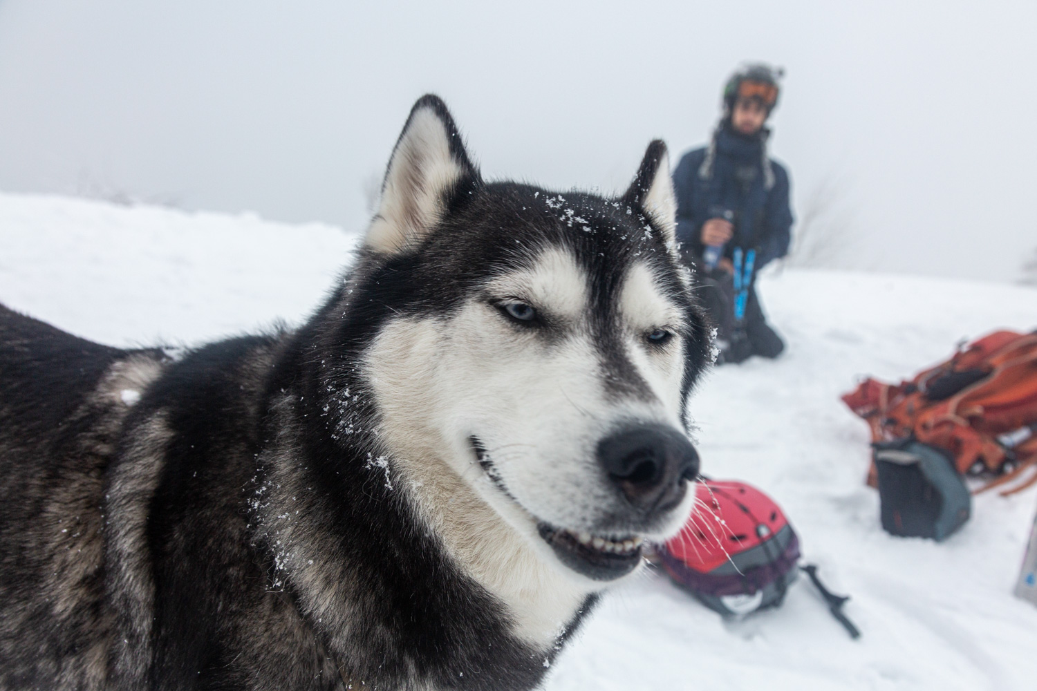 Backcountry 