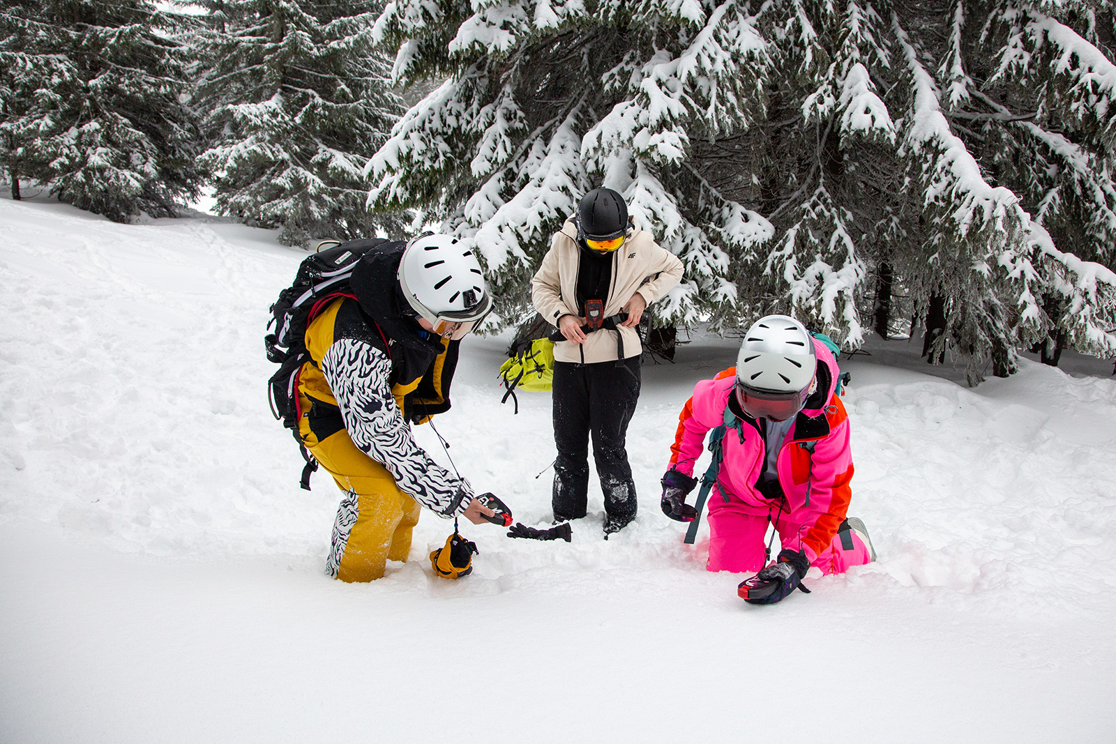 snow education